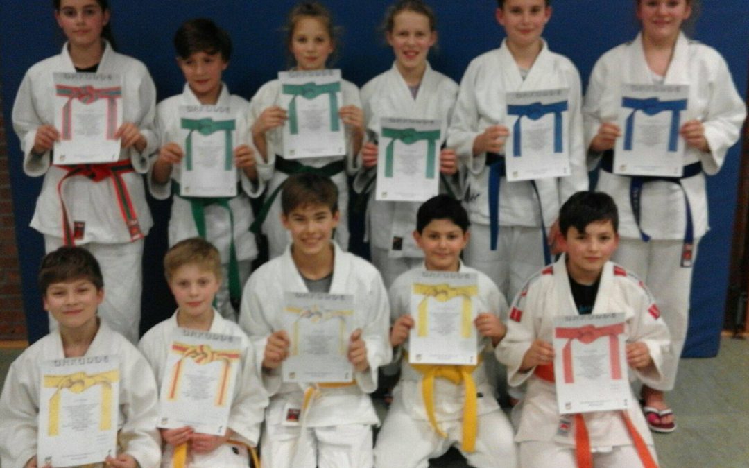 Neue Gürtelfarben für Nachwuchs-Judoka